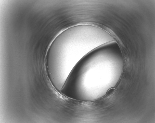 X0000066500908200603170946