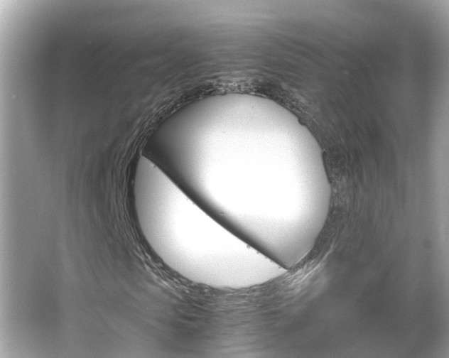 X0000066500913200603170946