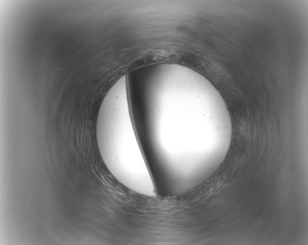 X0000066500914200603170946