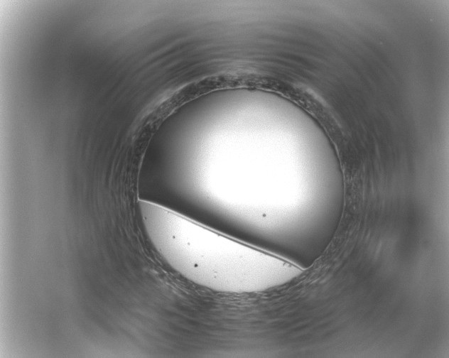 X0000066500919200603170946