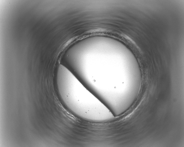 X0000066500921200603170946
