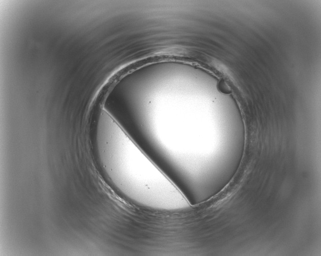 X0000066500923200603170946