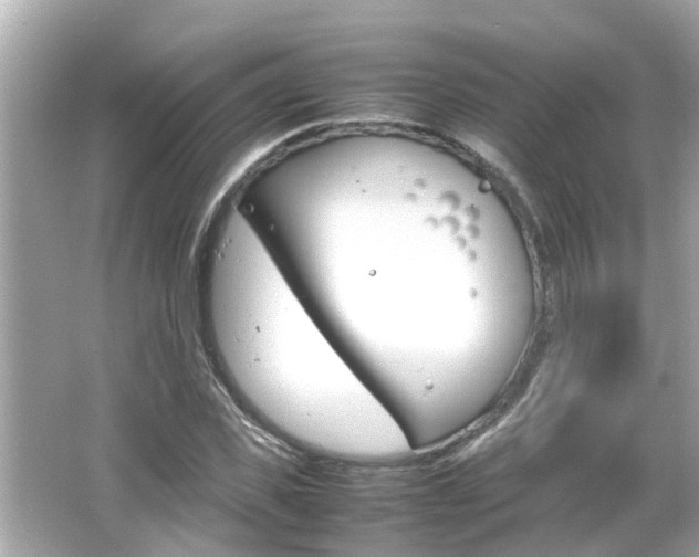X0000066500925200603170946