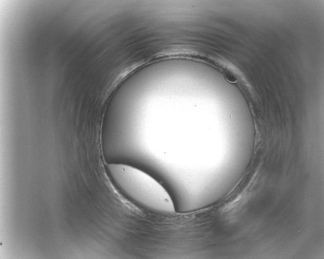 X0000066500937200603170946