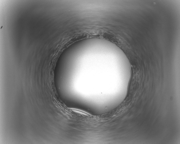 X0000066500961200603170945