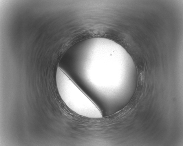 X0000066500963200603170945