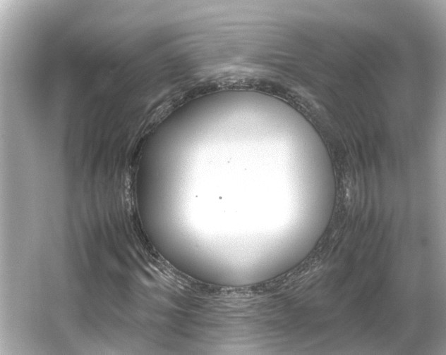 X0000066500964200603170945