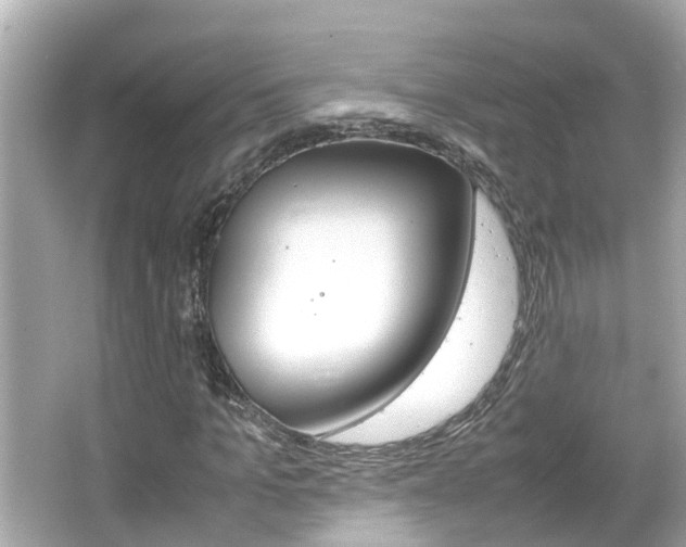X0000066500965200603170945