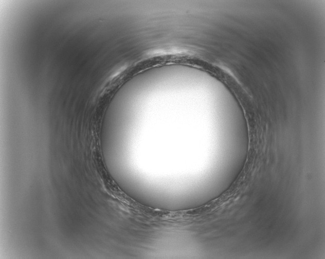 X0000066500967200603170945