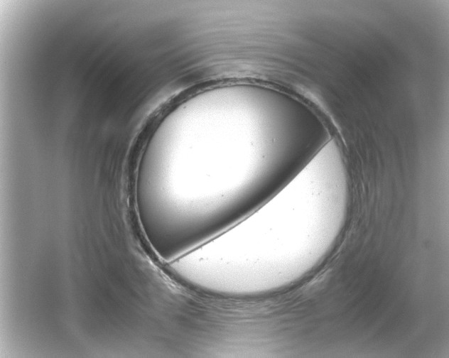 X0000066500979200603170945
