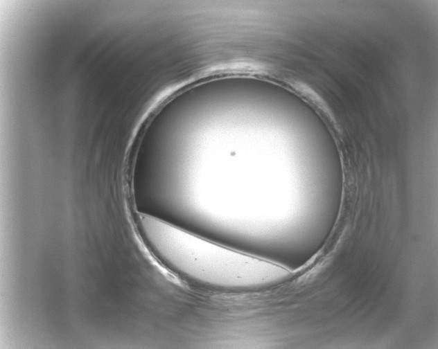 X0000066500989200603170945