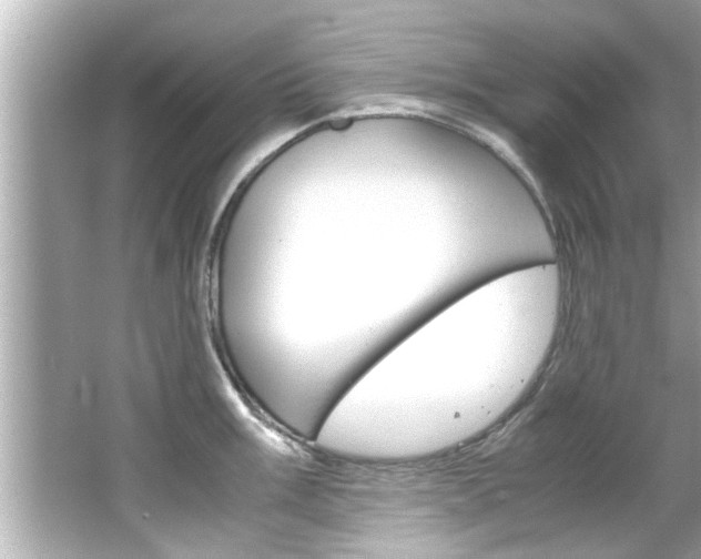 X0000066501003200603170945