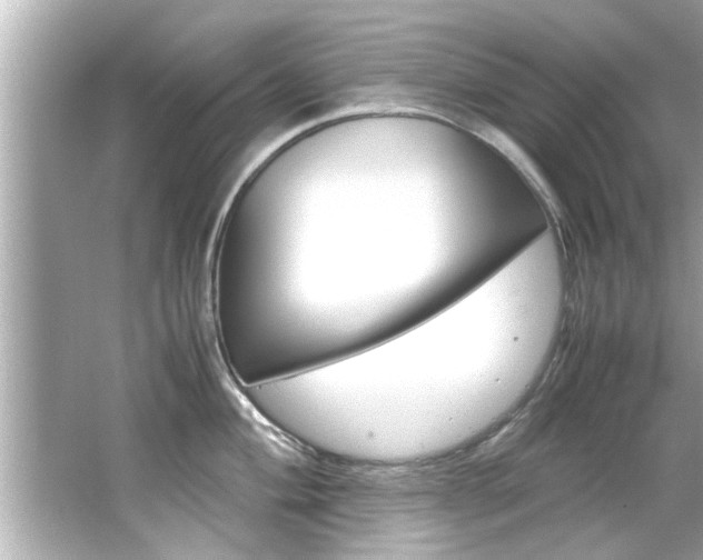 X0000066501004200603170945