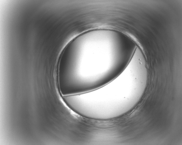 X0000066501007200603170945