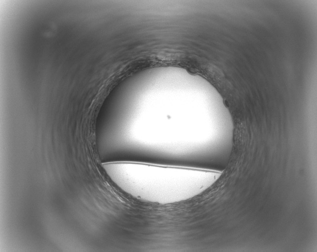 X0000066501009200603170944