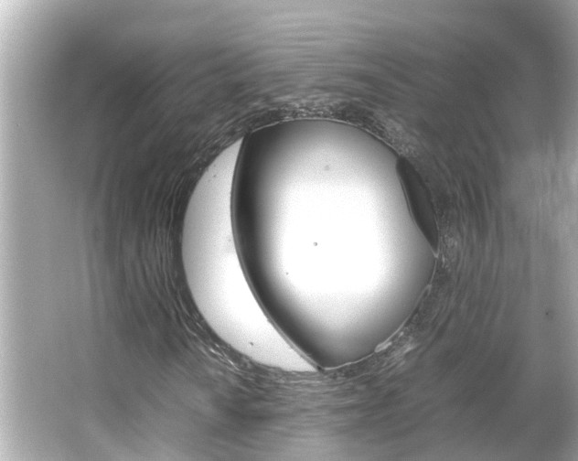 X0000066501010200603170944