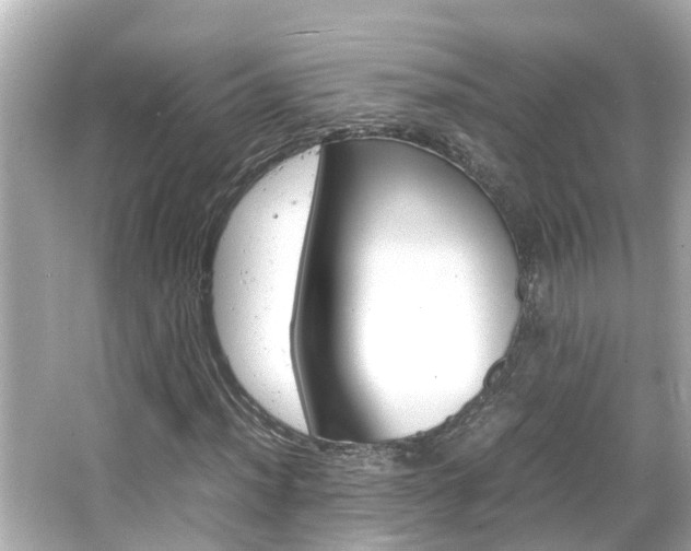 X0000066501012200603170944