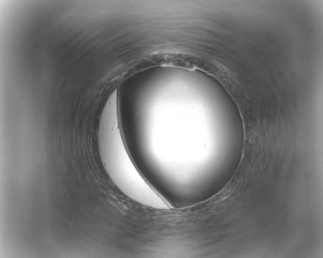 X0000066501014200603170944