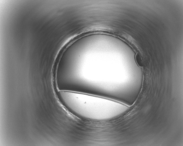 X0000066501024200603170944