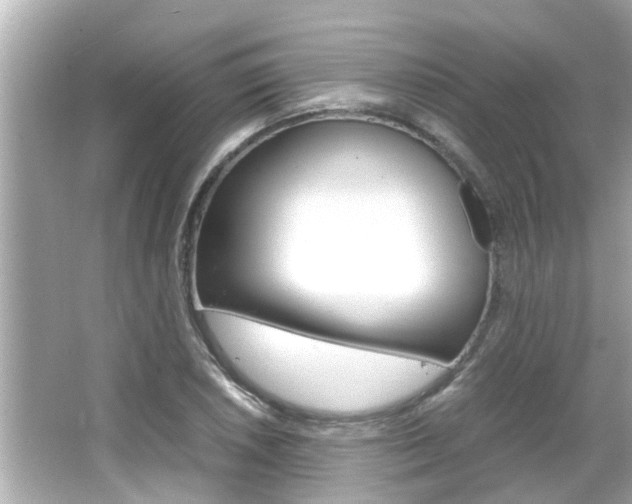 X0000066501026200603170944