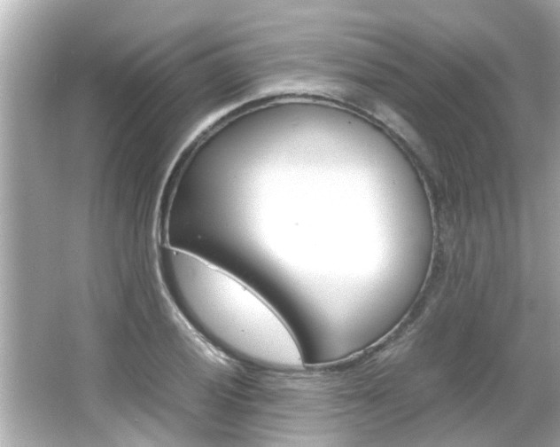 X0000066501028200603170944