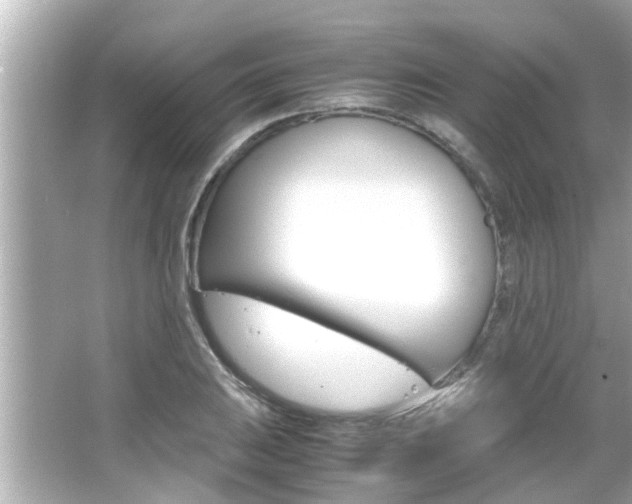 X0000066501031200603170944