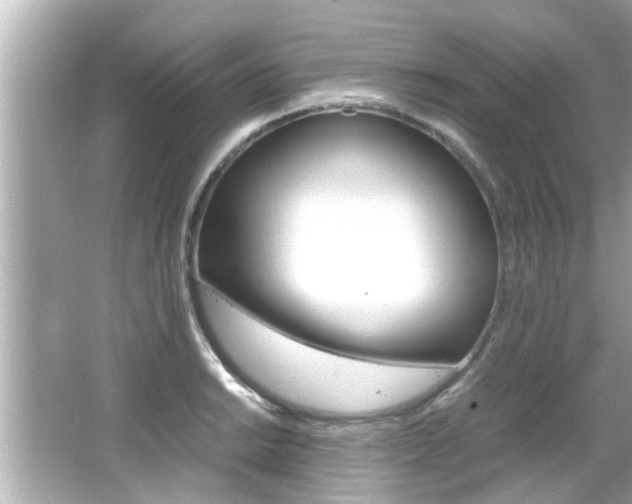X0000066501038200603170944