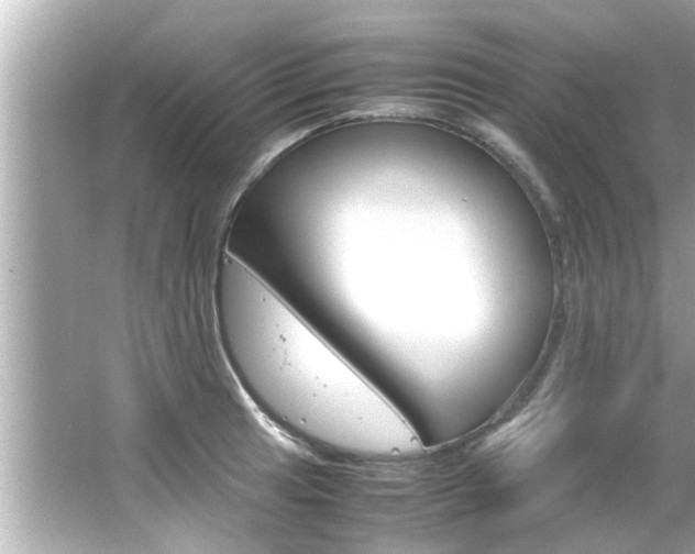 X0000066501041200603170944