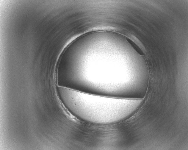 X0000066501044200603170944