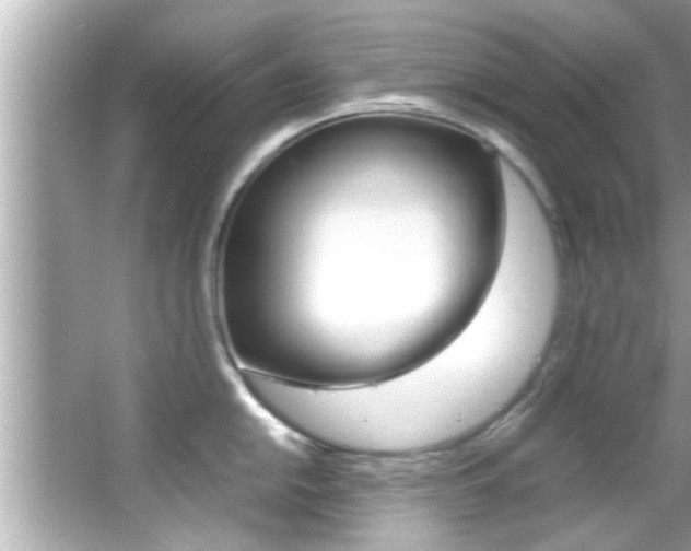 X0000066501054200603170945