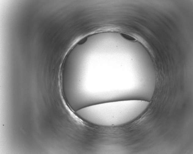 X0000066501055200603170945