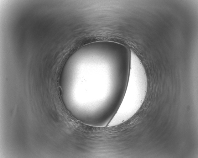 X0000066501057200603170944