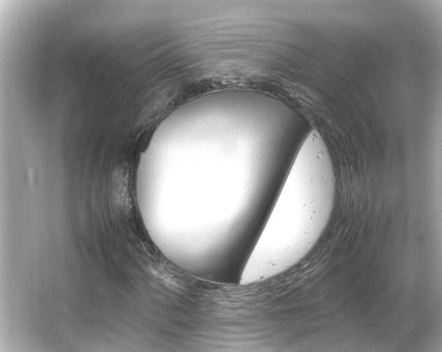X0000066501060200603170944