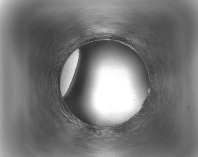 X0000066501061200603170944
