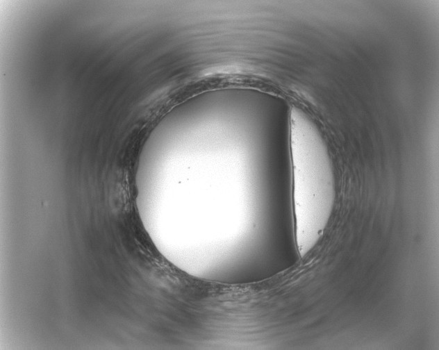X0000066501062200603170944