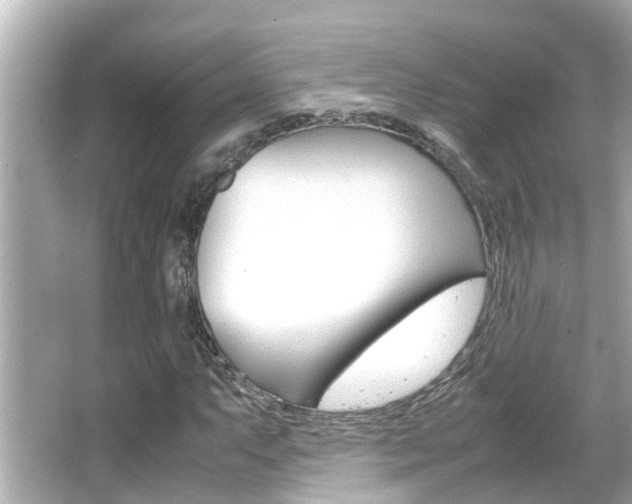 X0000066501063200603170944