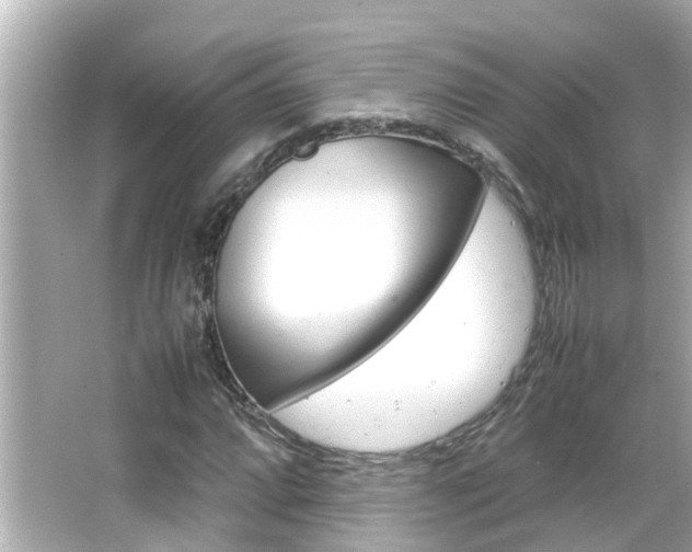 X0000066501064200603170944
