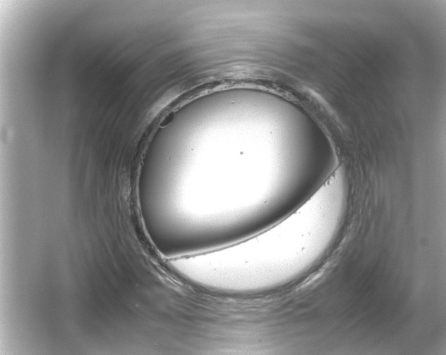 X0000066501065200603170944