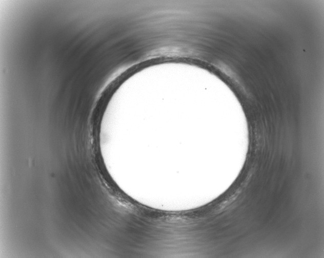 X0000066501070200603170944
