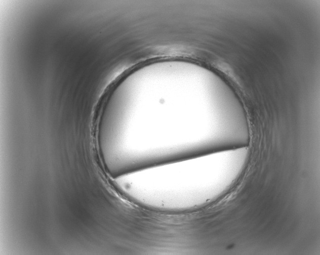 X0000066501071200603170944