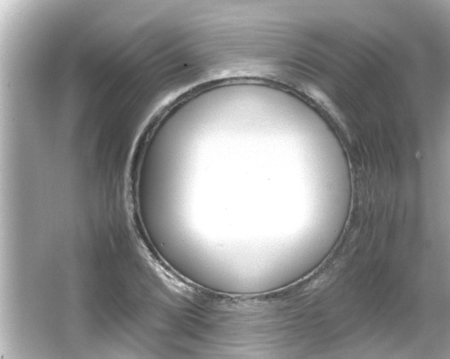 X0000066501072200603170944