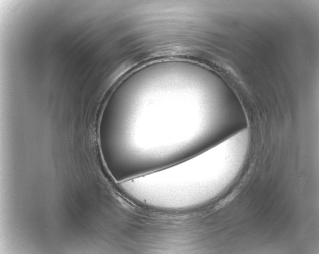X0000066501073200603170944