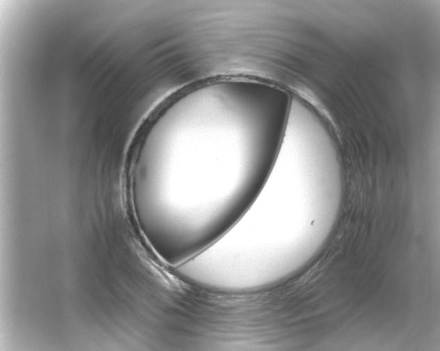 X0000066501076200603170944