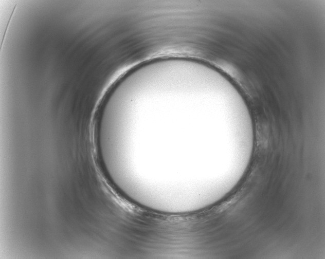 X0000066501078200603170944