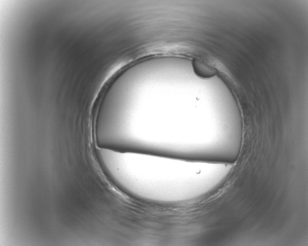 X0000066501079200603170944