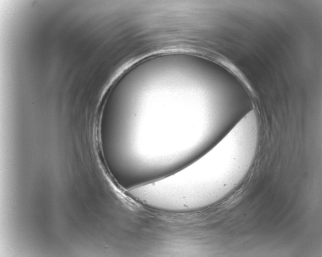 X0000066501101200603170943