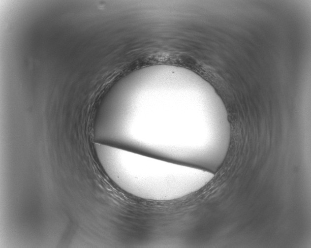 X0000066501105200603170942