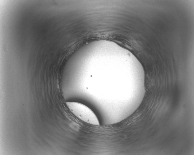 X0000066501106200603170942
