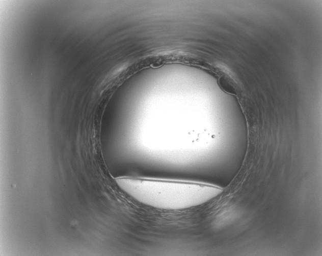 X0000066501111200603170942