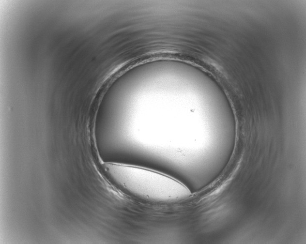 X0000066501113200603170942